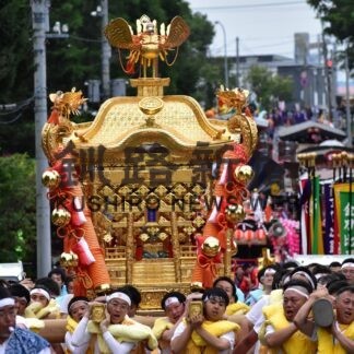 神輿渡御４年ぶり復活　金刀比羅神社例大祭にぎわう【根室】(2023-08-13)