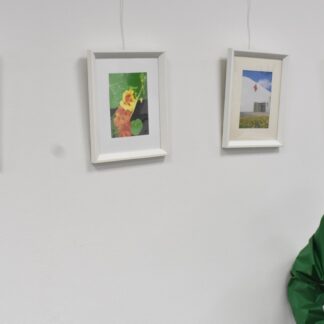 キンレンカの魅力展示会で感じて【釧路市】(2023-08-10)