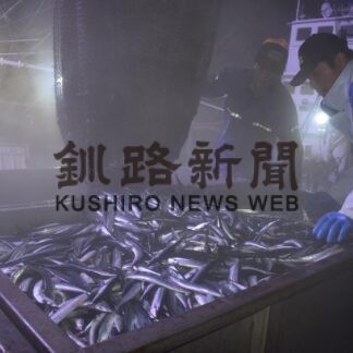 サンマ水揚げ今季最多　花咲港で３８４㌧(2023-08-29)