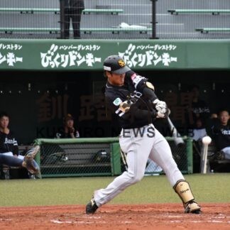 タンチョウリーグ開幕　学生、社会人、プロ９チームで熱戦【釧路市】(2023-08-09)