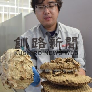 釧路市内スズメバチ駆除増加　業者相談、昨年の３倍【釧路市】(2023-08-28)
