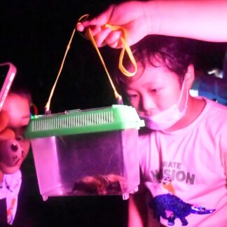 コウモリに興味津々　夜の動物園まつりにぎわう【釧路市】(2023-08-04)