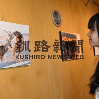 エゾシカへの愛情あふれる写真展【中標津】(2023-08-21)