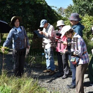 草花観察会で秋感じる【釧路市】(2023-09-26)