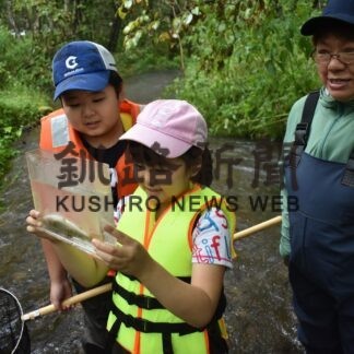 サケの生態学ぶ　釧路川支流で観察会【鶴居】(2023-09-08)