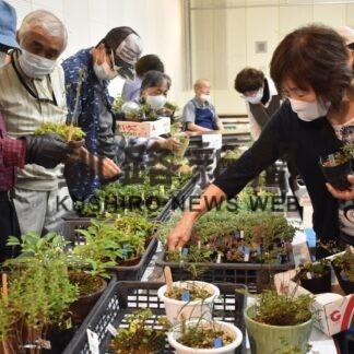 １０４種の山野草ずらり展示【釧路市】(2023-09-10)