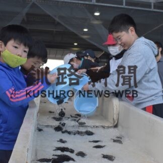 「行ってらっしゃい」「頑張れ」　児童、園児がマツカワ稚魚放流【厚岸、浜中】(2023-09-09)