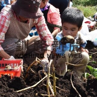イモ掘りに親子ら笑顔　伯爵まつりにぎわう【中標津】(2023-09-04)