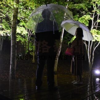 「ロータリーの杜」ライトアップ　町緑ケ丘森林公園【中標津】(2023-10-01)