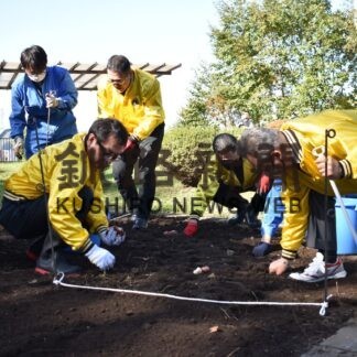 各地でチューリップの球根植栽【釧路市】(2023-10-28)