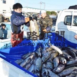 秋サケ、町内全世帯に無償配布　標津漁協【標津】(2023-10-15)