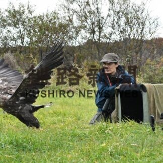 オジロワシ元気に飛び立つ　事故でけが治療の２羽放鳥【釧路市】(2023-10-28)