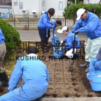 各地でチューリップの球根植栽【釧路市】_1(2023-10-28)