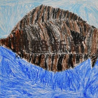 根室の魚生き生き　こども絵画コンテスト【根室】_1(2023-10-09)