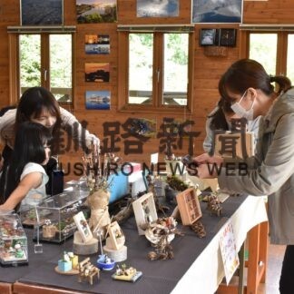 ミニチュア作品など多彩　釧路市公園緑化協会が春採湖アート展【釧路市】(2023-10-08)