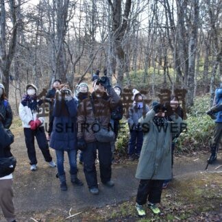 冬の春採湖で野鳥探し　博物館学芸員の解説も【釧路市】(2023-11-26)