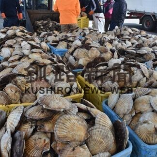 来月からホタテ５割減産へ　資源量不足で【別海】(2023-11-27)