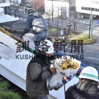 花時計も冬支度　小菊４８０鉢撤去【釧路市】(2023-11-19)