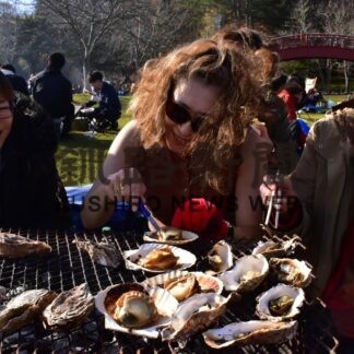 カキなど海産物を堪能　１９日まで祭り【厚岸】(2023-11-19)