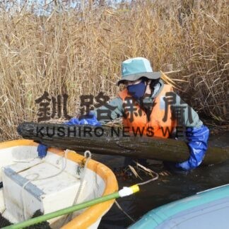 春採湖内や周辺でボランティア清掃　環境コンサルタント【釧路市】(2023-11-11)