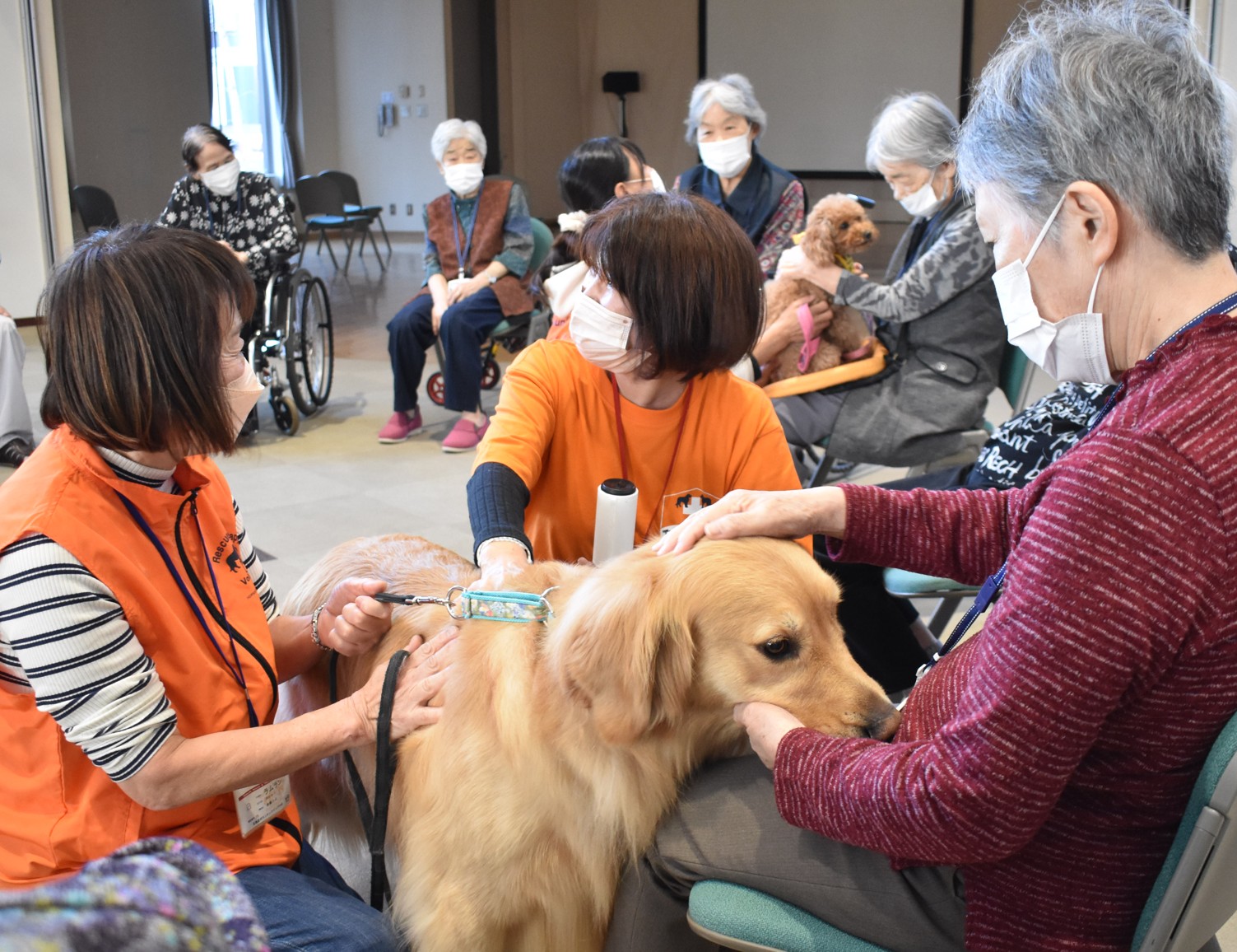 セラピー犬で癒やし ときわ台ヒルズで3年ぶりに交流会【釧路市】(2023-11-18)