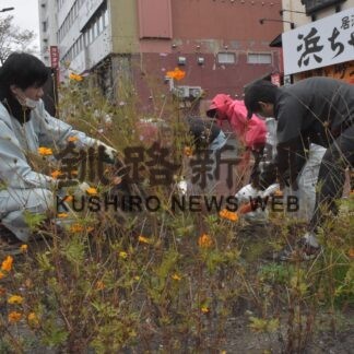 釧路市中心部きれいに　土地家屋調査会などが地域貢献【釧路市】(2023-11-05)