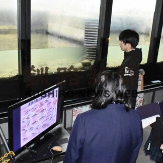 標津高生、サーモン科学館でサケの産卵観察【標津】(2023-11-15)