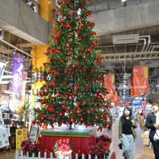 リボンの数当てよう　ＭＯＯでクイズ【釧路市】(2023-11-30)