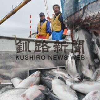海面養殖サーモン水揚げ　実証実験２年目【釧路市】(2023-11-18)