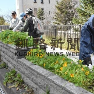 キンレンカ長く楽しんで　「富士見坂の会」が整備作業【釧路市】(2023-11-11)