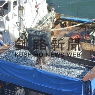 マイワシ漁獲１４９億８０００万円　道東沖巻き網終漁【釧路市】(2023-11-02)