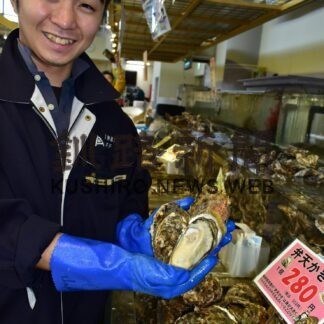 弁天かき出荷始まる　身ぷっくり、甘み濃厚【厚岸】(2023-11-03)