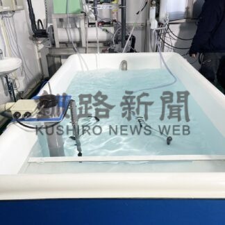 【元旦号6B】釧根水産_1(2024-01-01)