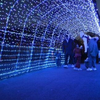 Xマスイルミ優しい光　別保公園で点灯式【釧路町】(2023-12-03)