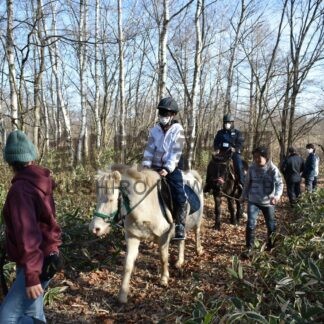 寒空の下 馬と触れ合い　標茶町新規職員研修【標茶】(2023-12-09)