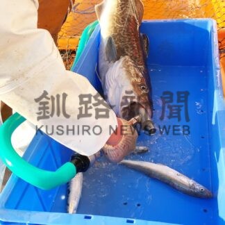 【元旦号6B】釧根水産_4(2024-01-01)