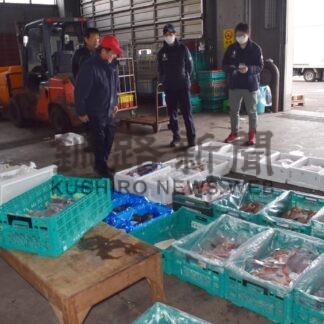 中標津地方魚菜が初競り【中標津】(2024-01-06)