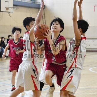 釧新杯バスケＵ１５開幕【釧路市】(2024-01-29)