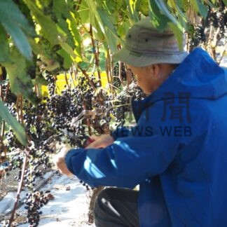 鶴居村フォトコンテスト２０２３㊦【鶴居】_4(2024-01-05)