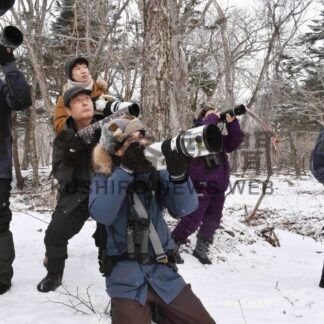 雪の中、野鳥の一瞬捉え　写真家・菅原氏と撮影会【根室】(2024-02-04)