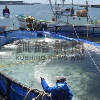 検証 釧路市予算案③　経済　３年目の海面養殖試験【釧路市】(2024-02-25)