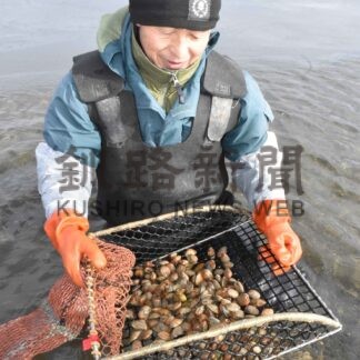 アサリ手堀り漁始まる【根室】(2024-02-05)