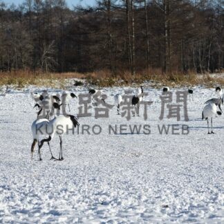 鶴居の美しさ守り生かす　景観むらづくり条例施行【鶴居】(2024-02-12)