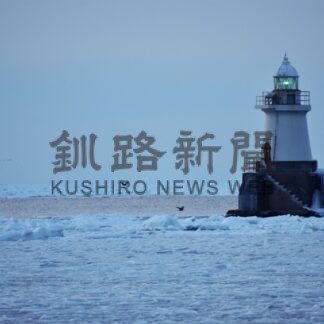 根室で「流氷接岸初日」　１１年以降最も早く【根室】(2024-02-11)