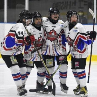 Ｄａｉｓｈｉｎ首位通過　全日本女子アイスホッケー(2024-03-09)