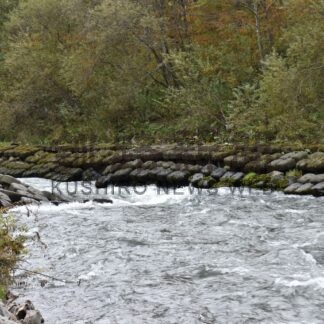 ２５年度までに釧路川のカヌー航行禁止区間解消へ　観光振興に期待【釧路市】(2024-03-14)