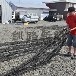 道マリンビジョン２１コン　歯舞と落石地区優良賞【根室】(2024-03-31)