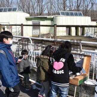 じっくり観察 耳探し　動物園が３月３日でクイズ企画【釧路市】(2024-03-04)