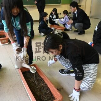 まちの「宝物」育てよう　児童がアッケシソウ栽培【厚岸】(2024-04-18)