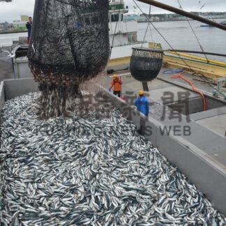 釧路水産物、流通構造変化　市と公立大研究【釧路市】(2024-04-18)